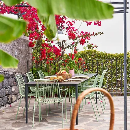 Bordal 度假居 丰沙尔